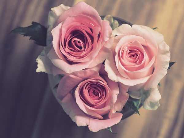 img-article-1