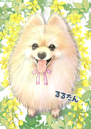 スーザン